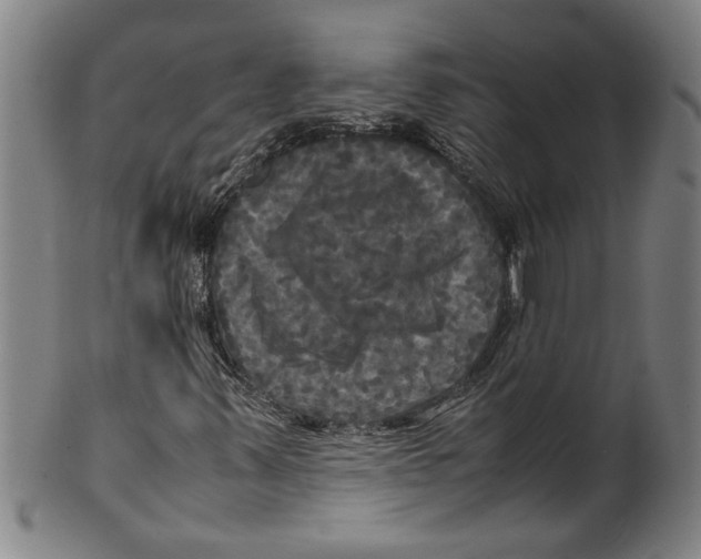 X0000099411347200806060922