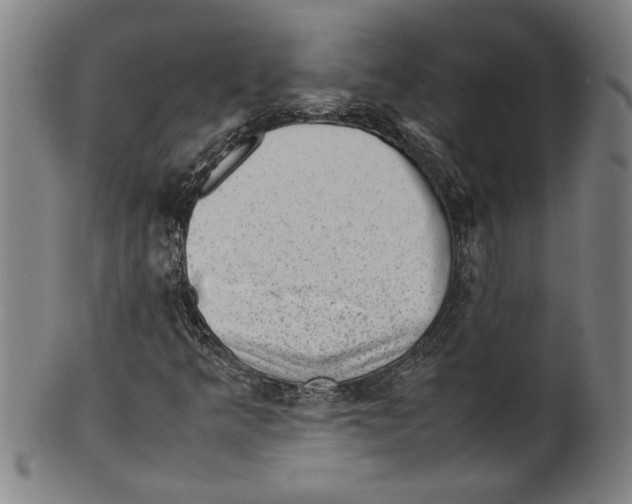 X0000099411349200806060922