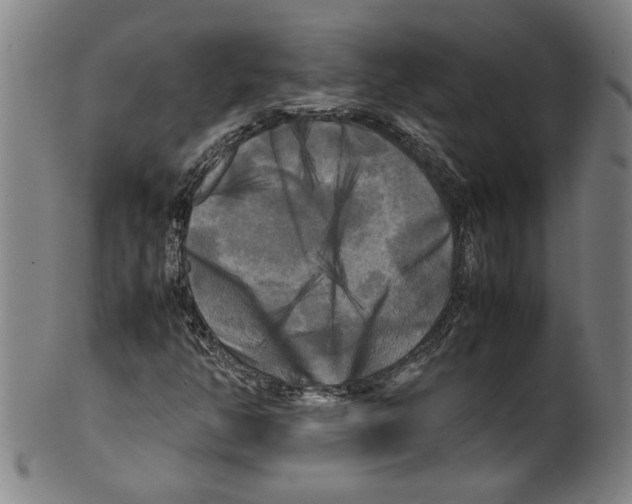 X0000099411350200806060922