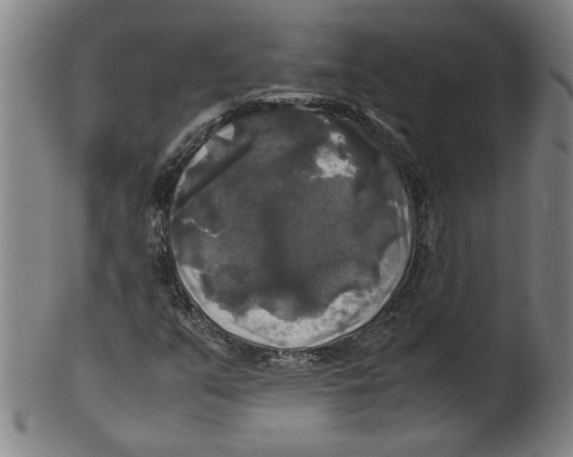 X0000099411351200806060922