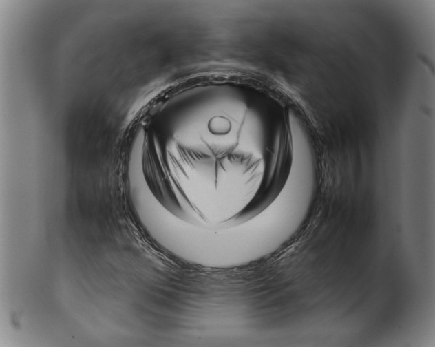 X0000099411352200806060922