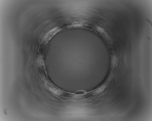 X0000099411353200806060922