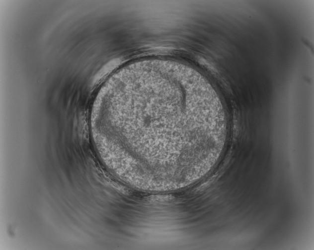 X0000099411354200806060922