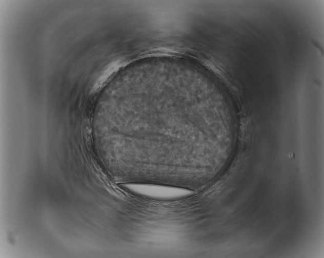 X0000099411355200806060922