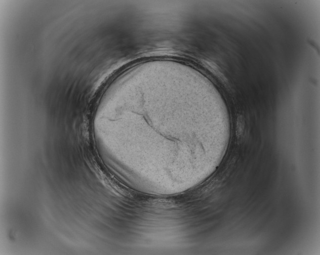 X0000099411356200806060922