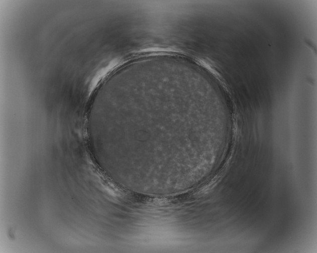 X0000099411357200806060922