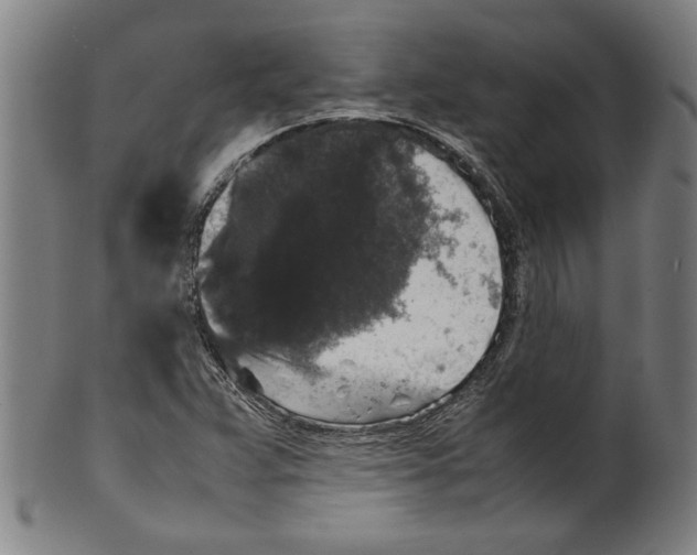 X0000099411359200806060921