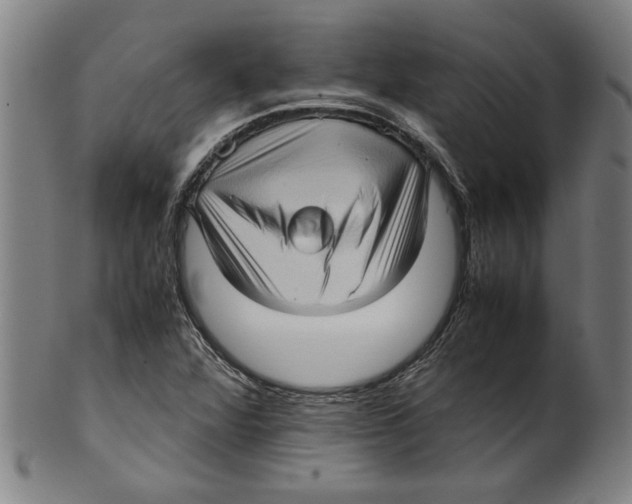 X0000099411360200806060921