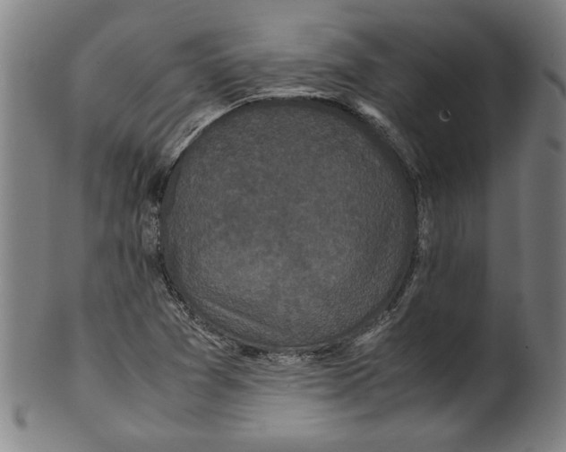 X0000099411361200806060921