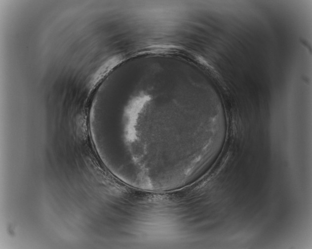 X0000099411362200806060921