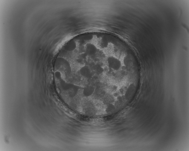 X0000099411363200806060921