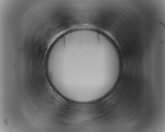 X0000099411364200806060921