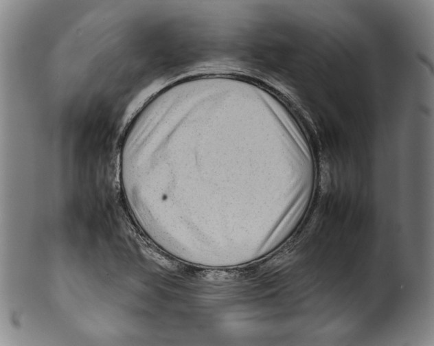 X0000099411366200806060921