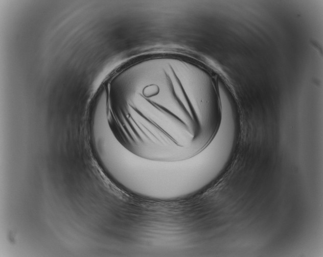 X0000099411368200806060921