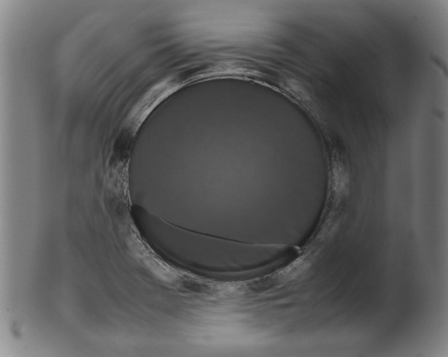 X0000099411369200806060921