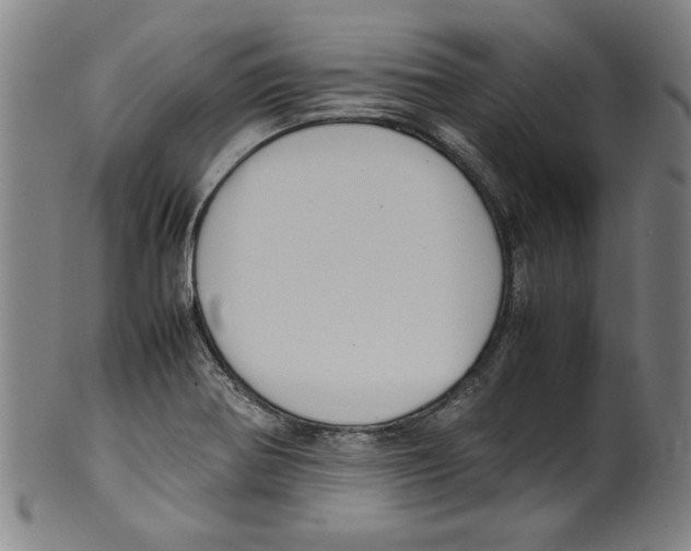 X0000099411370200806060921