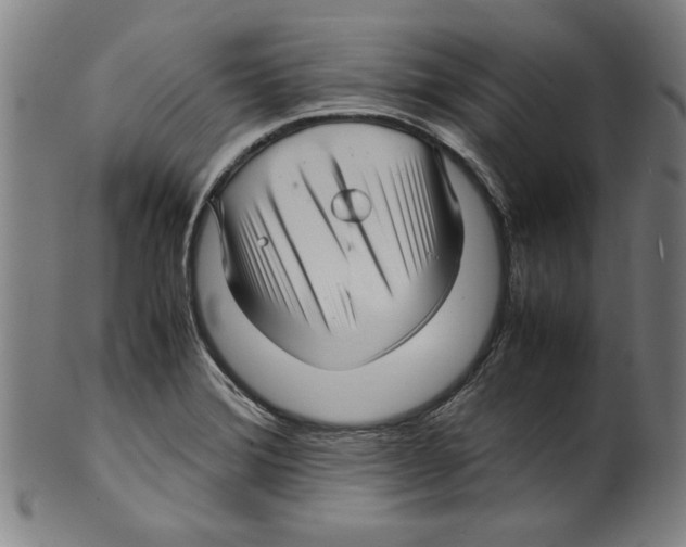 X0000099411372200806060921