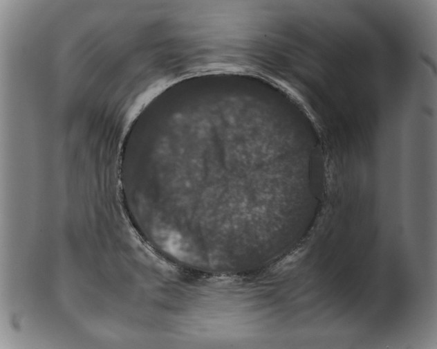 X0000099411373200806060921