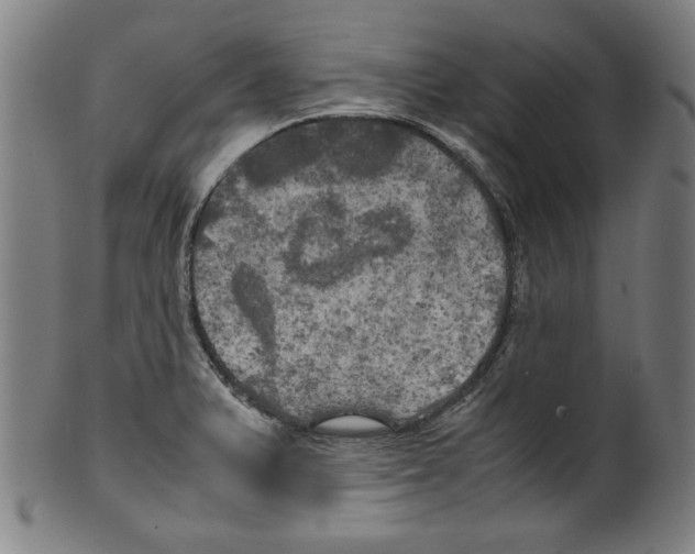 X0000099411375200806060921