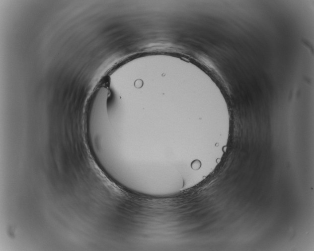 X0000099411376200806060921