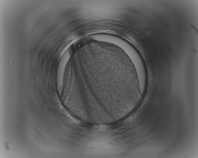 X0000099411377200806060921