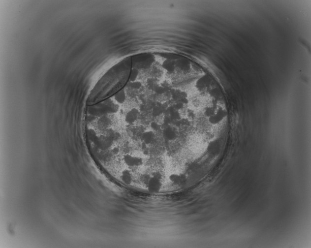 X0000099411379200806060921