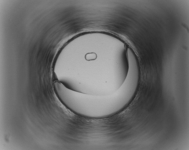 X0000099411380200806060921