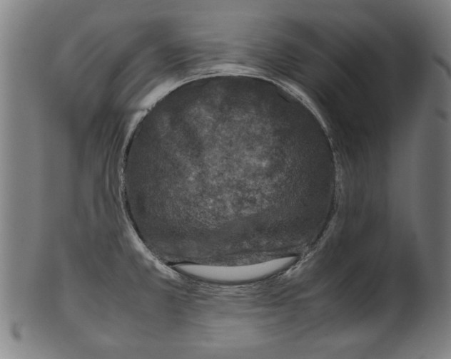 X0000099411381200806060921