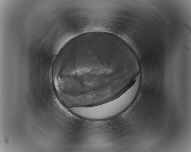 X0000099411382200806060921