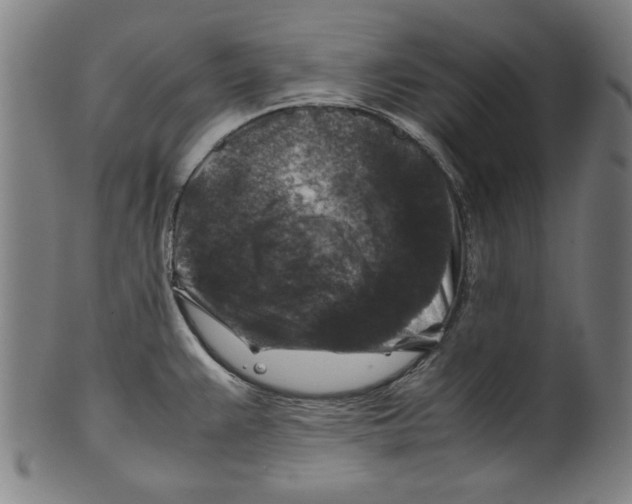 X0000099411383200806060921