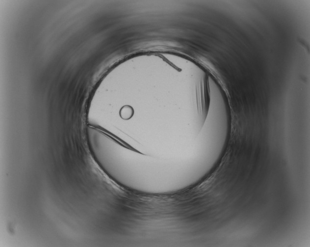 X0000099411384200806060921