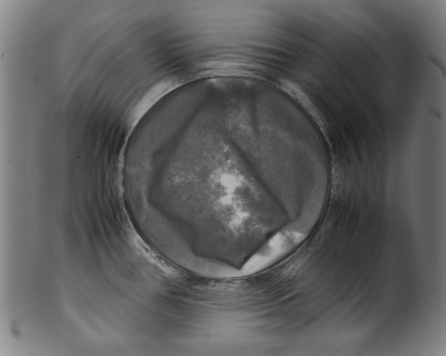 X0000099411386200806060921