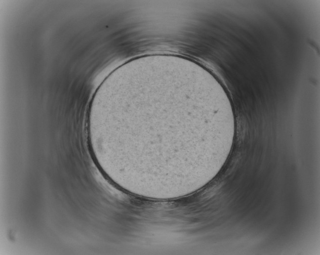 X0000099411387200806060921