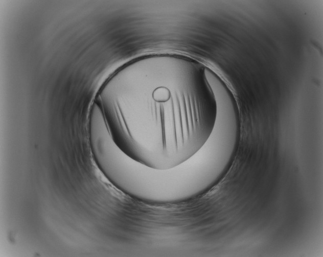 X0000099411388200806060921