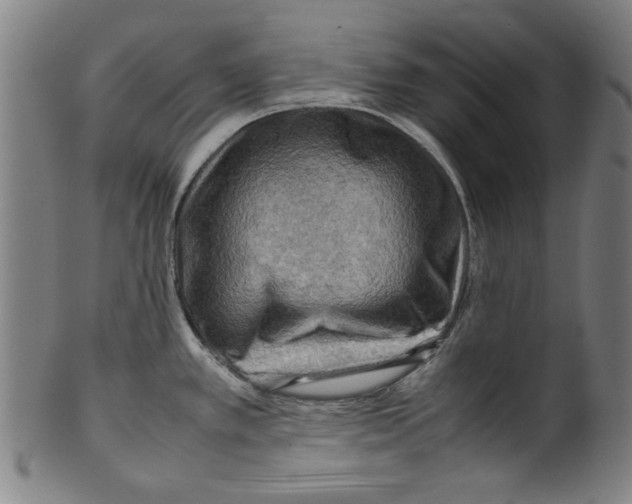 X0000099411389200806060921