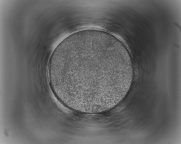 X0000099411391200806060921