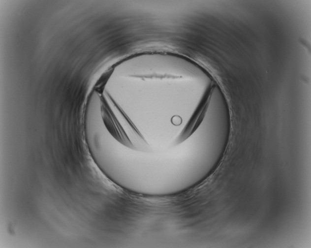 X0000099411392200806060921