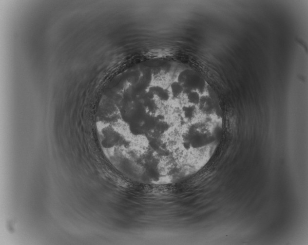 X0000099411393200806060920