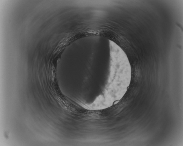 X0000099411394200806060920