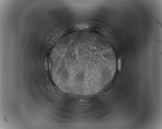 X0000099411395200806060920