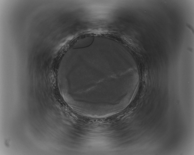 X0000099411398200806060920