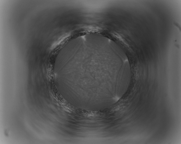 X0000099411399200806060920