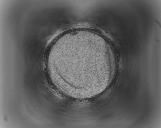 X0000099411400200806060920