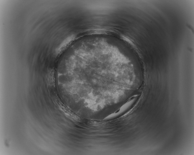 X0000099411403200806060920