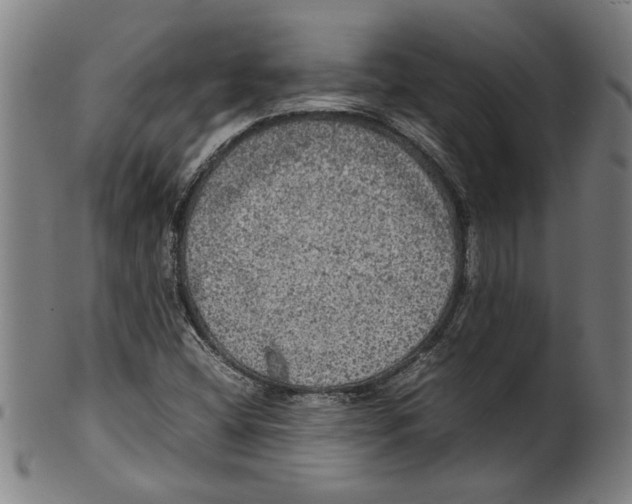 X0000099411404200806060920