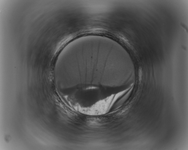 X0000099411405200806060920