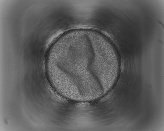 X0000099411406200806060920