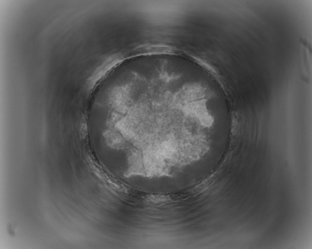 X0000099411407200806060920