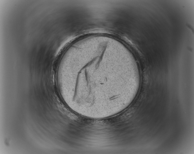 X0000099411408200806060920