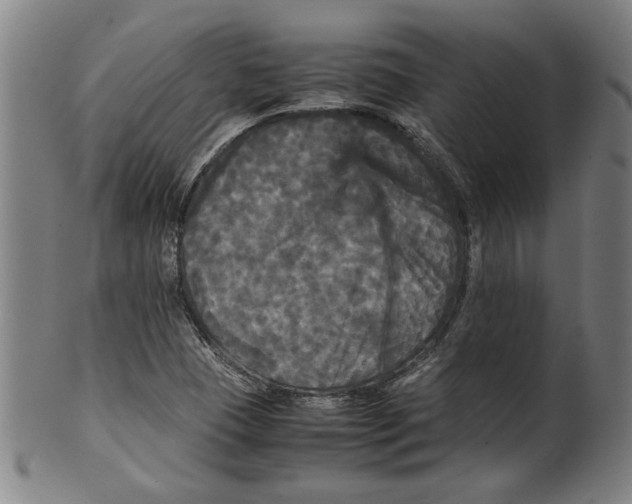 X0000099411409200806060920